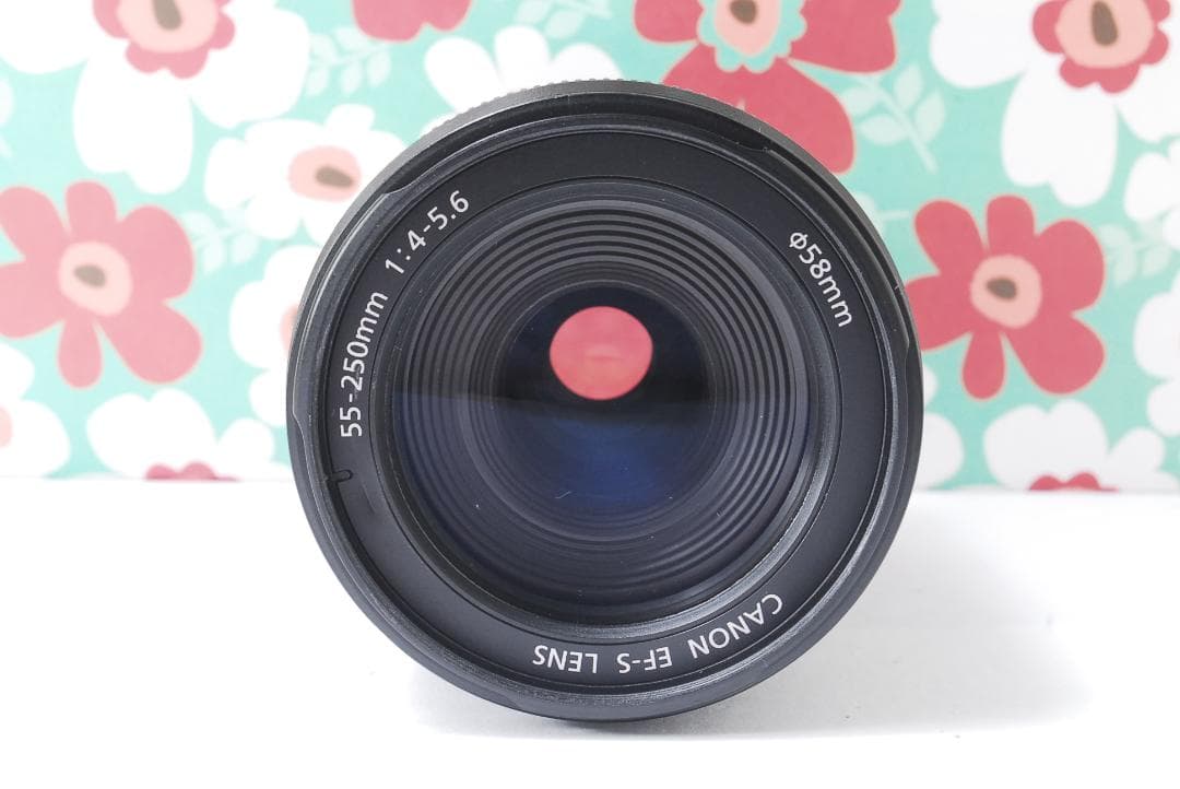 ❤Canon EF-S 55-250mm F4-5.6 IS❤手振れ補正❤望遠❤