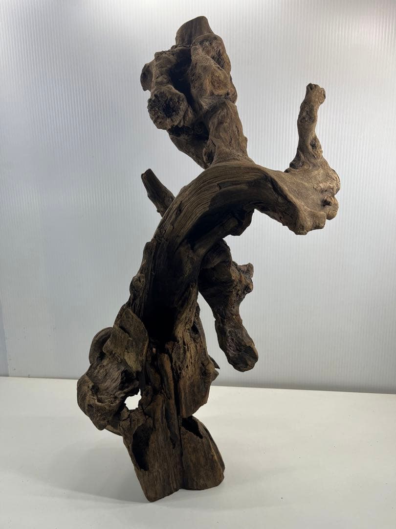 V67アク抜き済み流木 爬虫類シェルター 登り木 インテリア 生け花