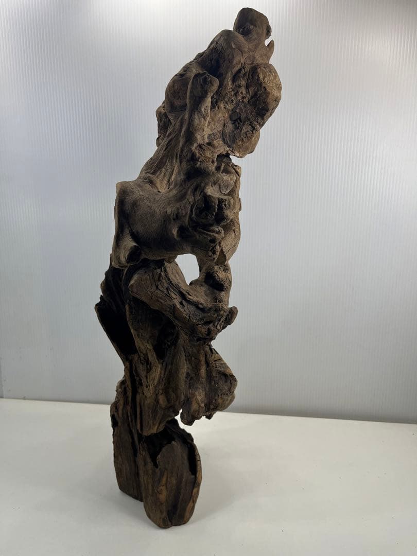 V67アク抜き済み流木 爬虫類シェルター 登り木 インテリア 生け花