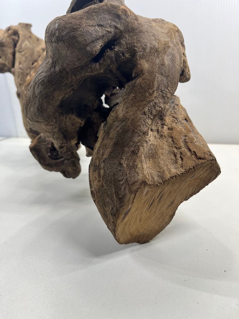 V67アク抜き済み流木 爬虫類シェルター 登り木 インテリア 生け花