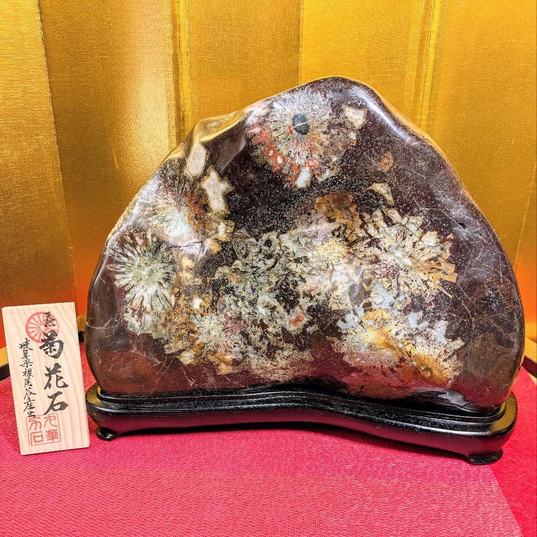 菊花石 岐阜県根尾谷産16.2㌔ 鑑賞石 観賞石 水石 盆石 天然石 置物 家宝