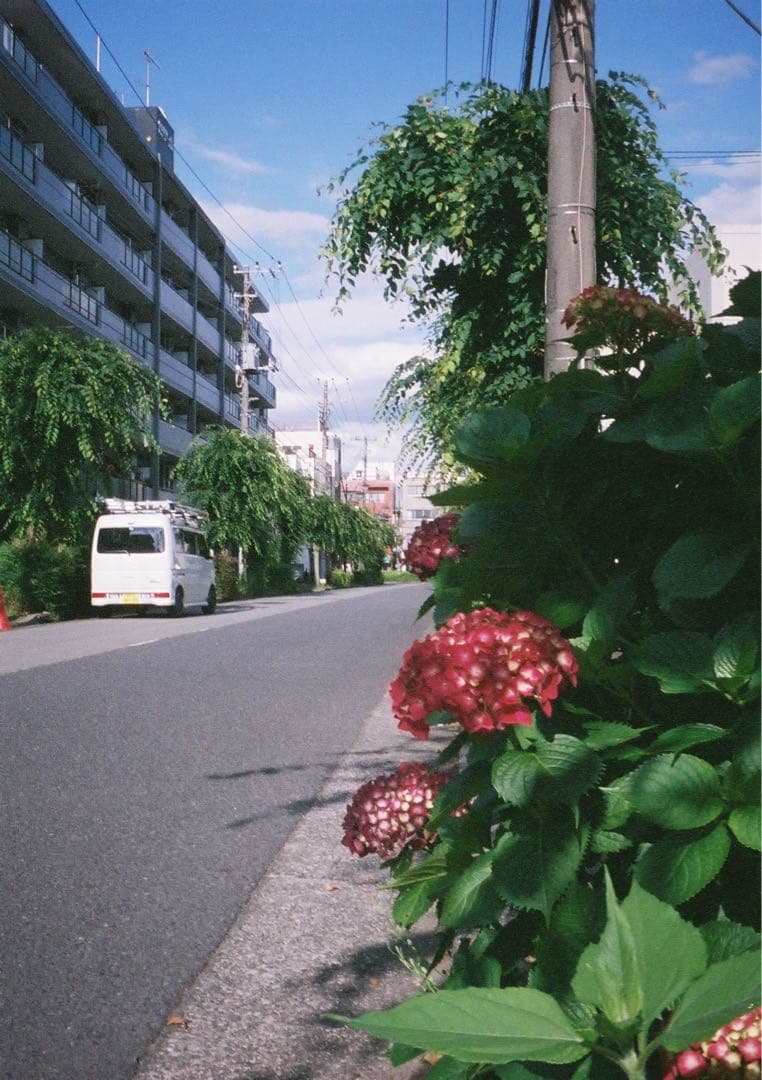 【動作確認・清掃済み＊試写あり】くすみグリーン＊リコーオートハーフSE