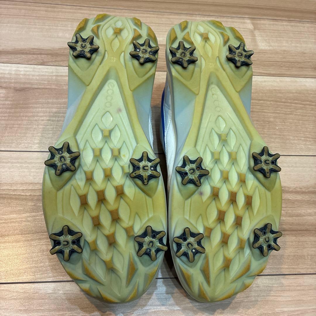 ECCO ゴルフシューズ BOAクロージャー GORE-TEX
