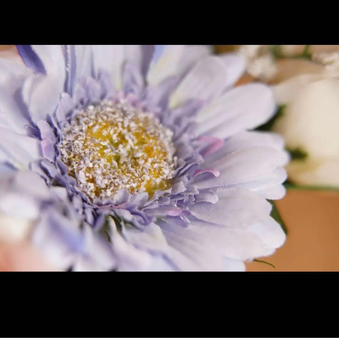 CanonミラーレスEOSRシリーズ用！マクロ変換リング！小さな世界を大きく撮る