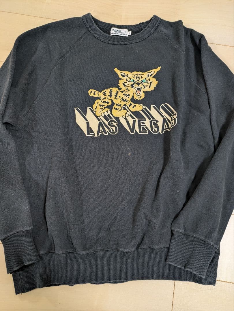 カラーフロッキー　スウェット　fj監修