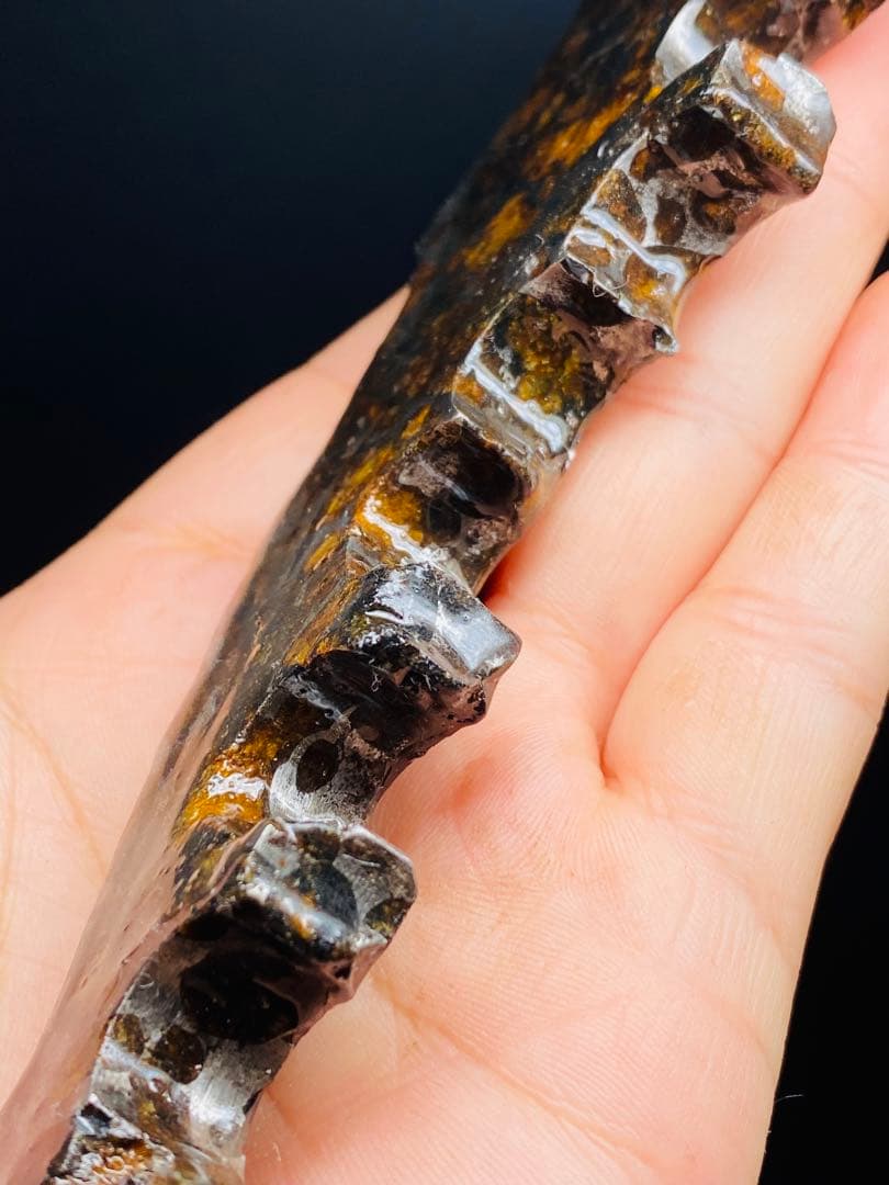 さいこ⭐︎鑑別書付き パラサイト隕石 200g 隕石 石鉄隕石 セリコ隕石