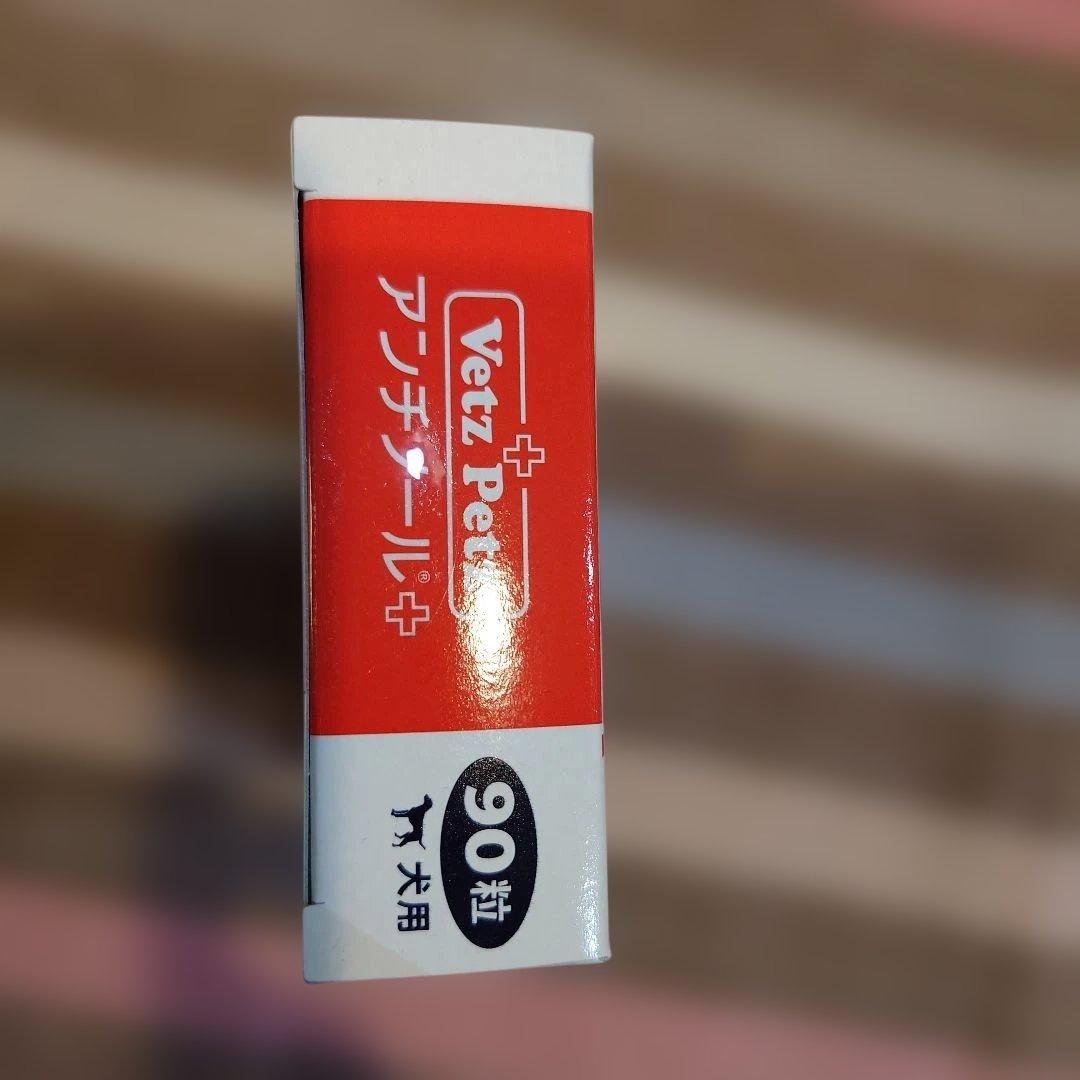 アンチノールプラス　90粒