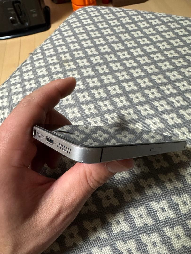 iPhone SE 第一世代 64 GB docomo SIMフリー