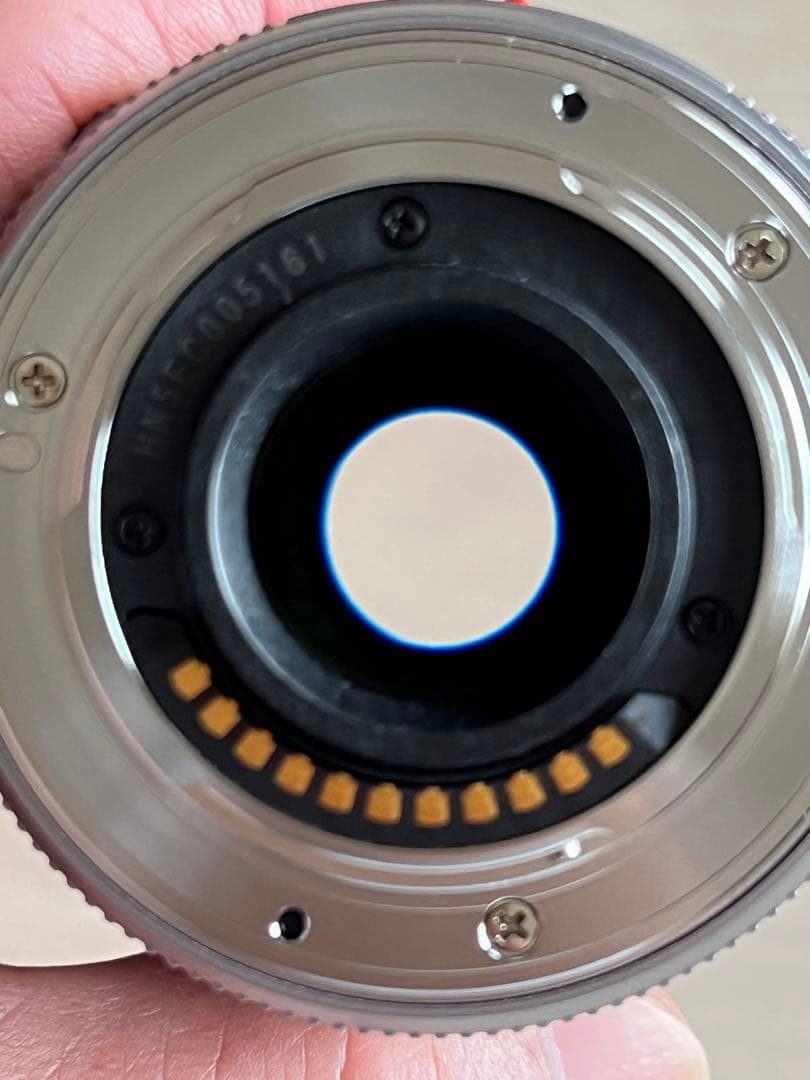 (美品)パナソニック ルミックス電動パワーズームレンズ 45-175mm