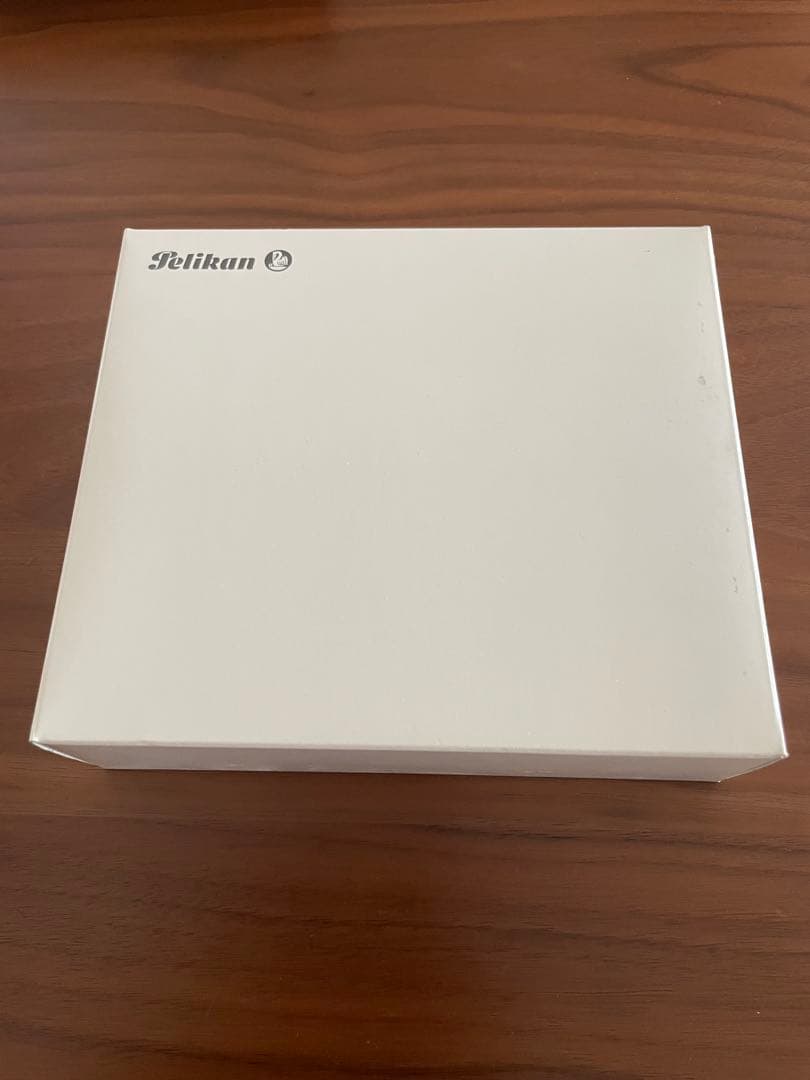 Pelikan M200 スケルトン　万年筆 インクセット