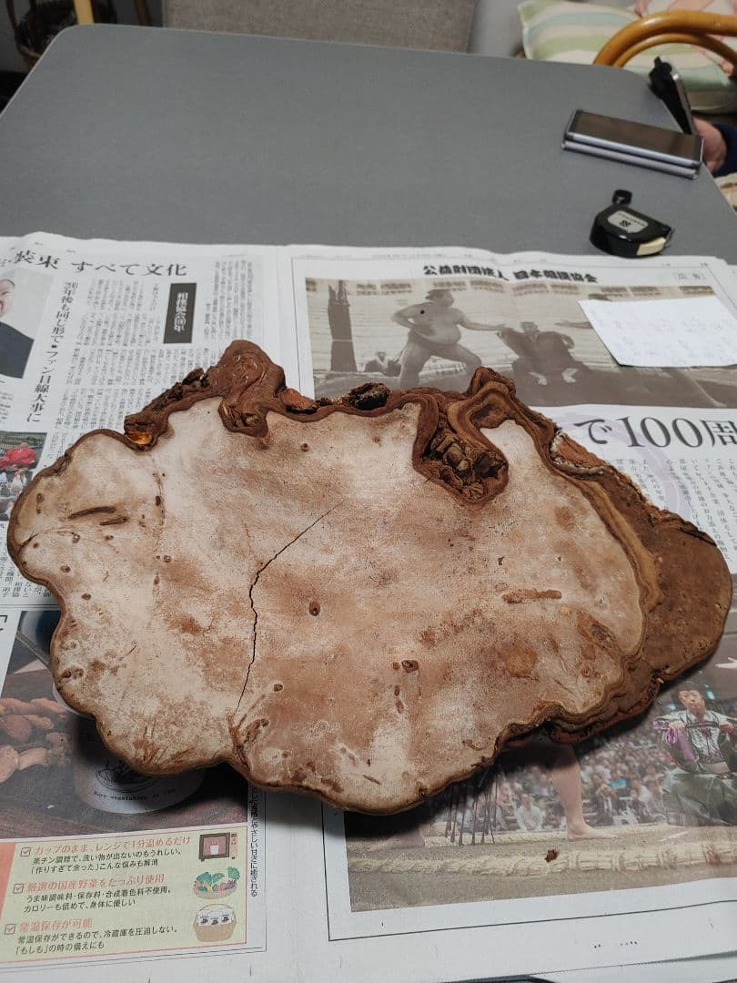 サルノコシカケ　天然物　大きいです。３個まとめて　漢方　インテリア