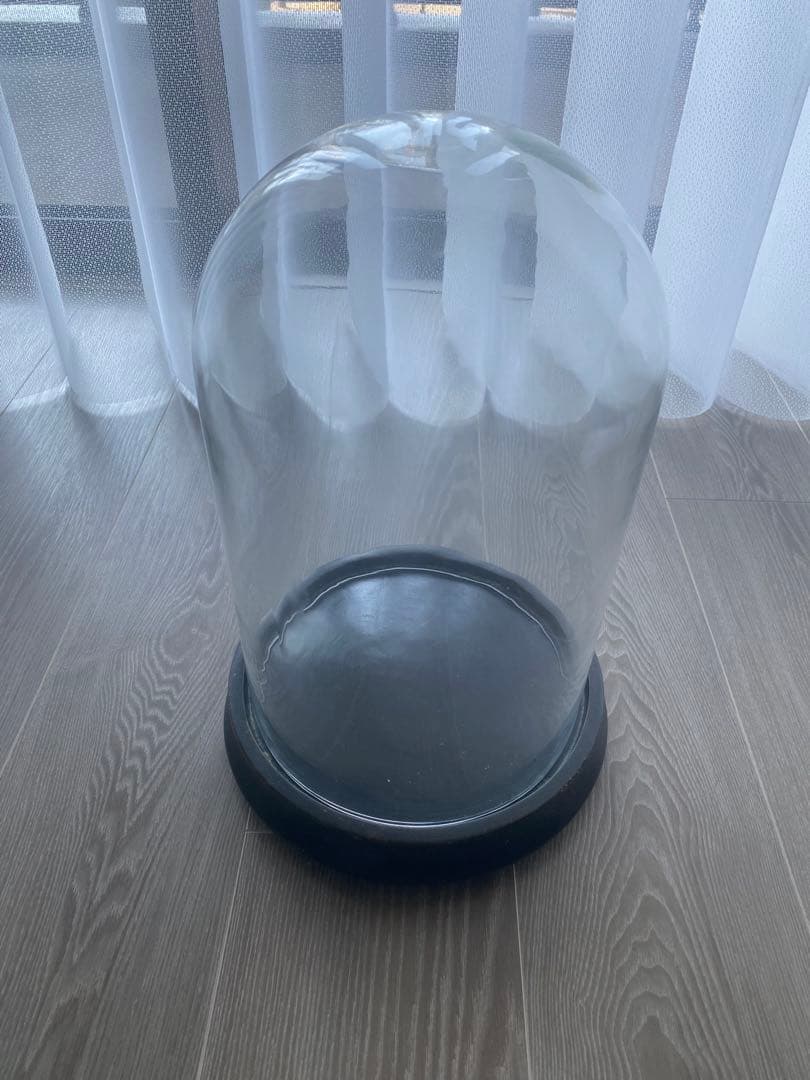 古いガラスドーム木台　 アンティークアトリエ飾り台ショーケース店舗什器