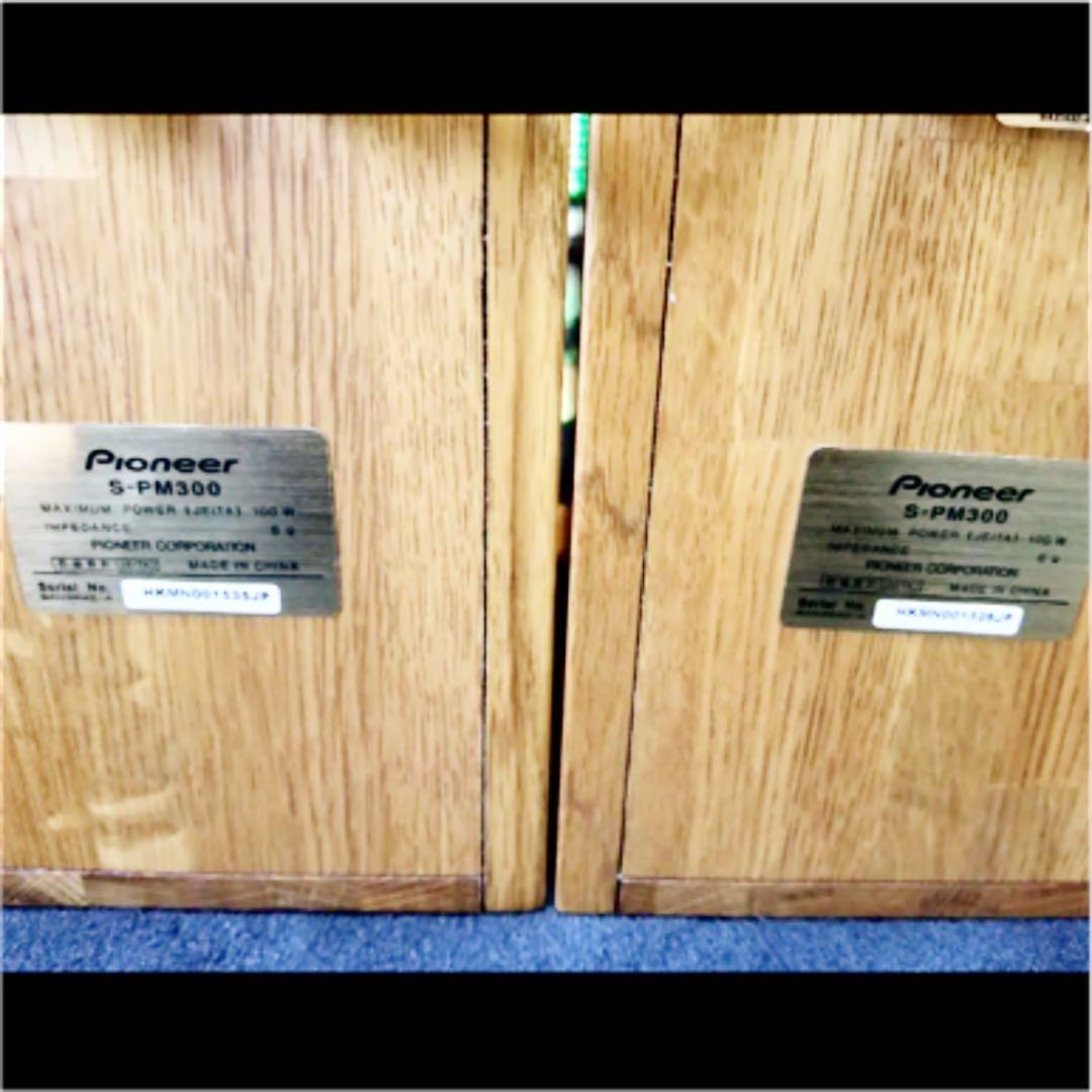 Pioneer S-PM300 2個