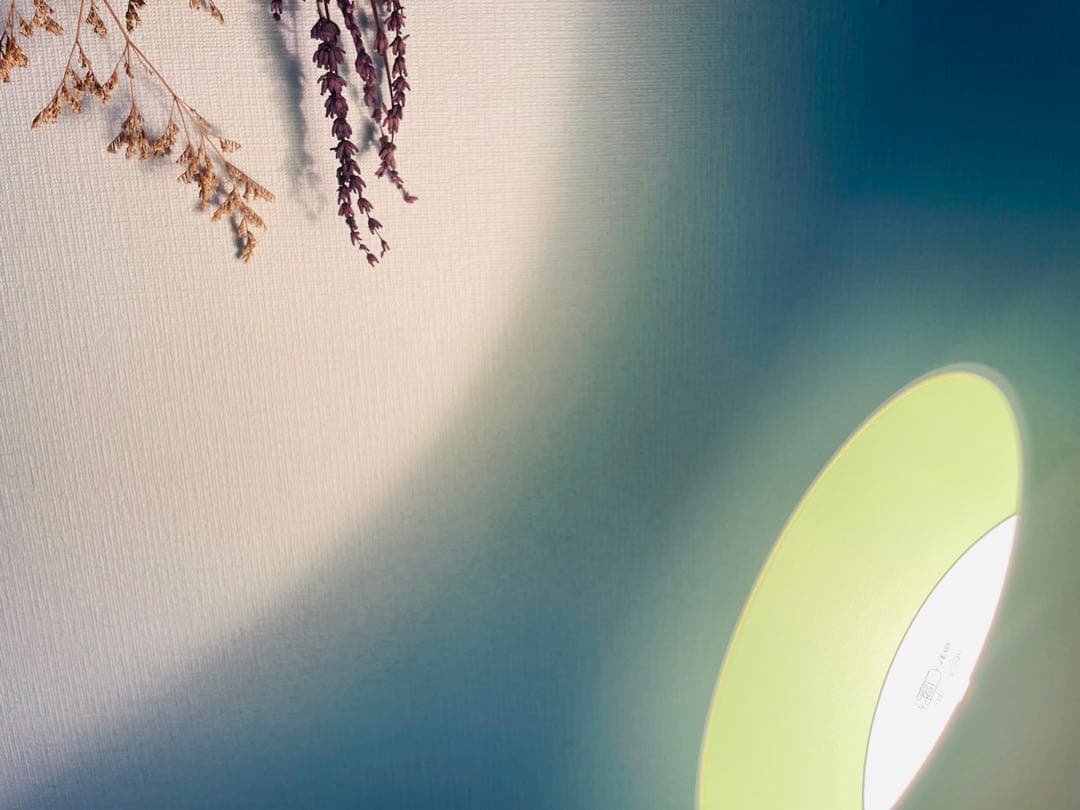 Louis Poulsen ルイスポールセン　トルボー