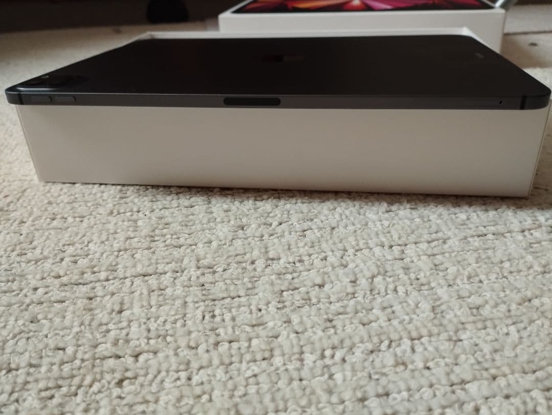 iPad Pro Wi-Fi + Cellular 第3世代