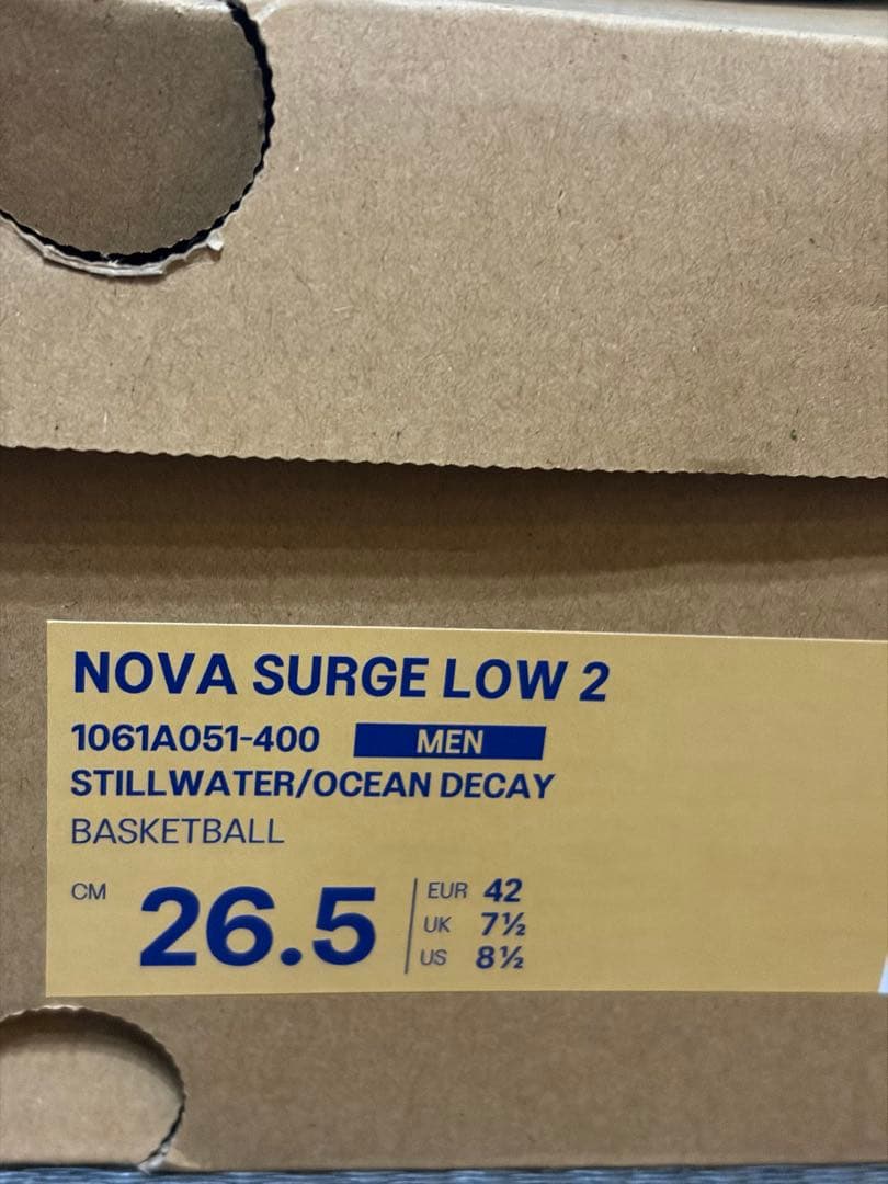 asics NOVA SURGE LOW 2 バスケットシューズ