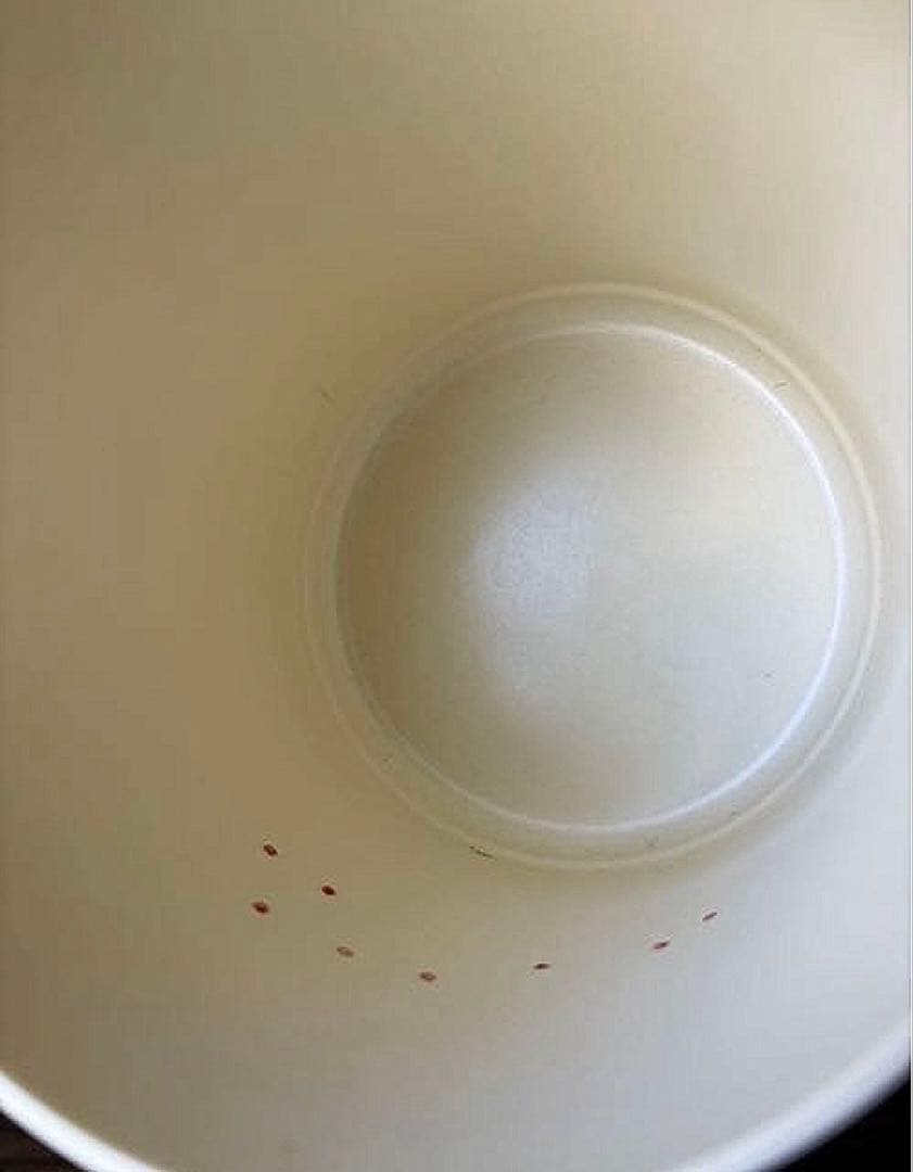 ヴィンテージ NALLY WARE CANISTER (訳あり)