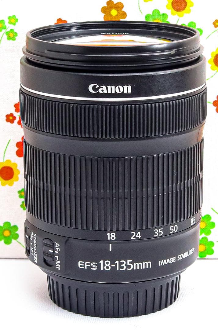 美品 Canon EF-S 18-135mm STM☆高性能・高倍率レンズ