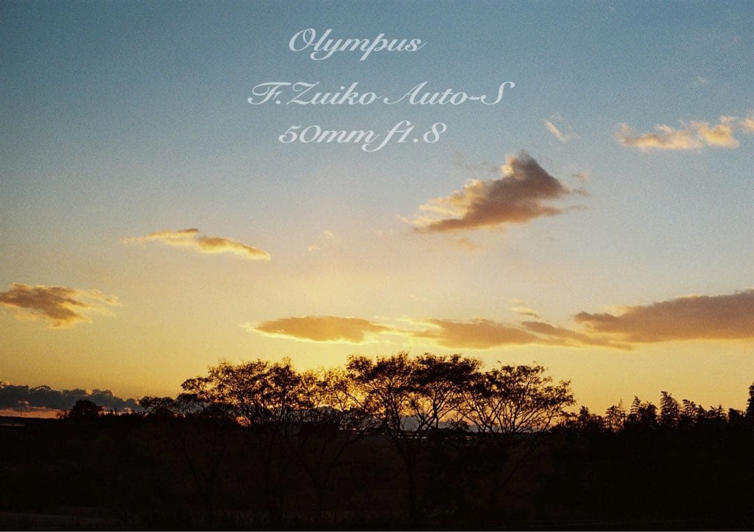 ★完動品＊美品＊初期保証★OM-1 ★グリーンリザード外装★作例必見！