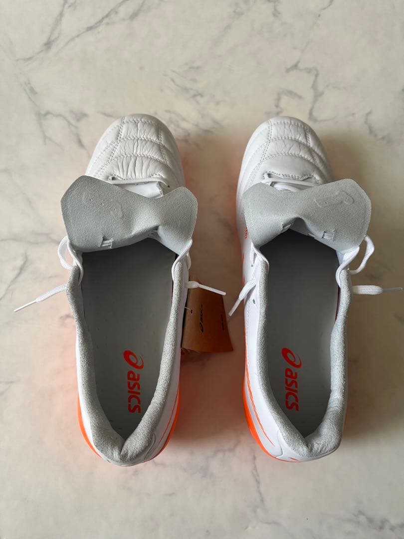 アシックス DS LIGHT X-FLY5 新品未使用タグ付き29cm