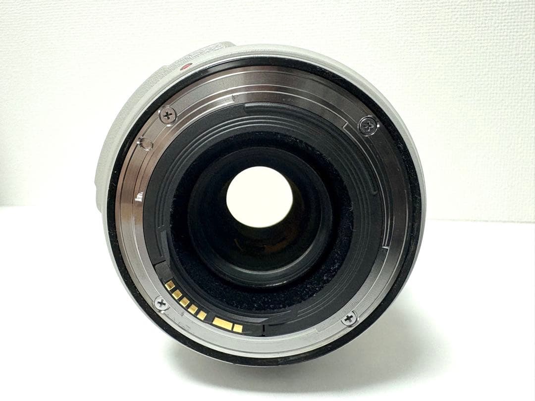 Canon EF 70-300mm f/4-5.6L IS USM ズームレンズ