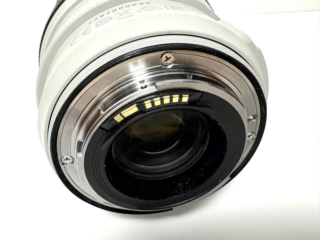 Canon EF 70-300mm f/4-5.6L IS USM ズームレンズ
