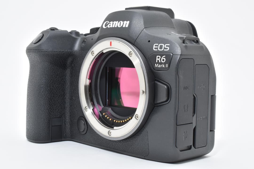 ■ほぼ新品■ キヤノン EOS R6 Mark II #C699
