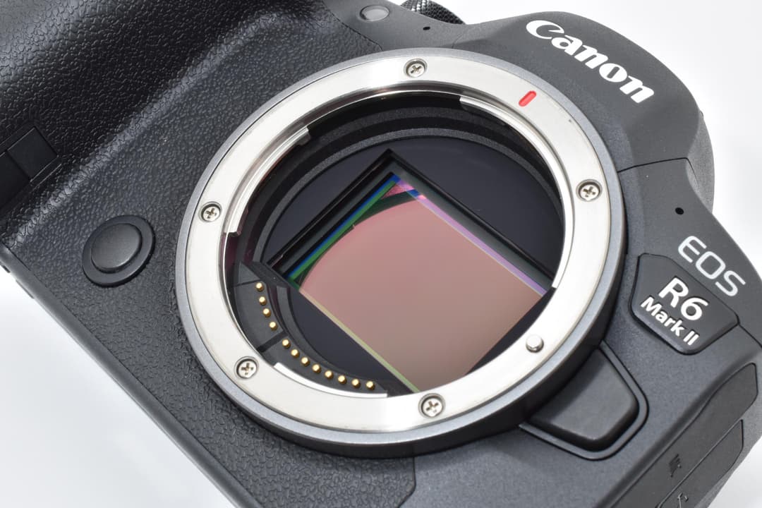 ■ほぼ新品■ キヤノン EOS R6 Mark II #C699