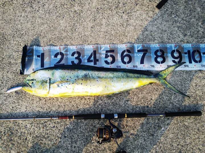 DAIWAジグキャスター87MH 16BG4000H