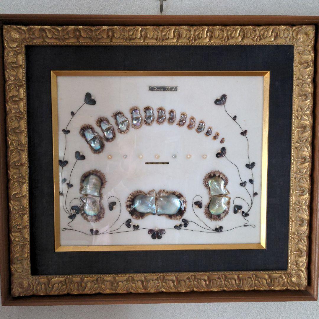 額　可愛い真珠の一生