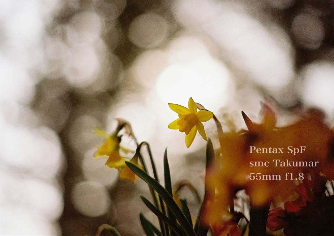 完動品＊美品＊初期保証★pentax spfレンズセット★フィルム入門★作例多数