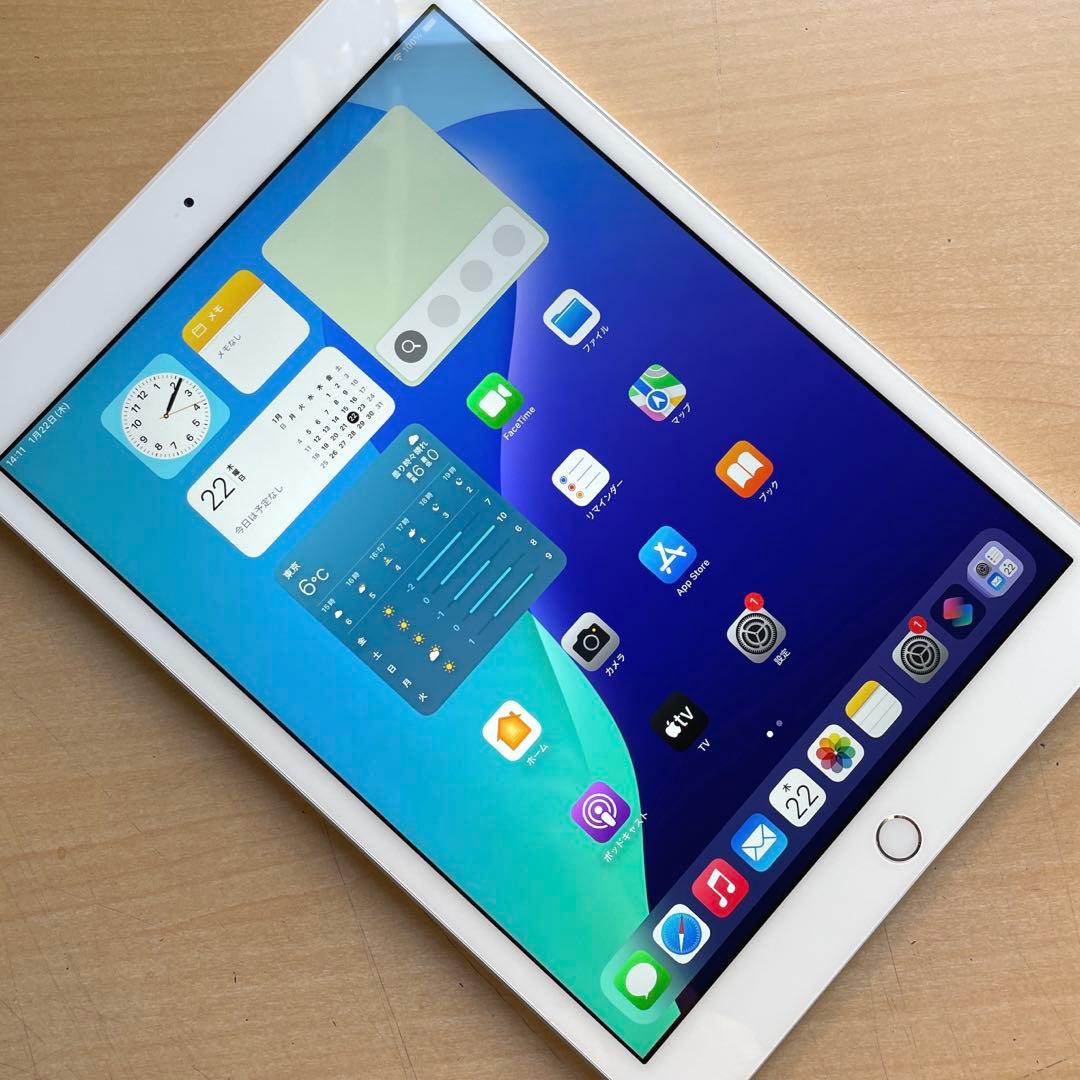 iPad 第7世代 Wi-Fi+Cellular シルバー　32GB 超美品#2