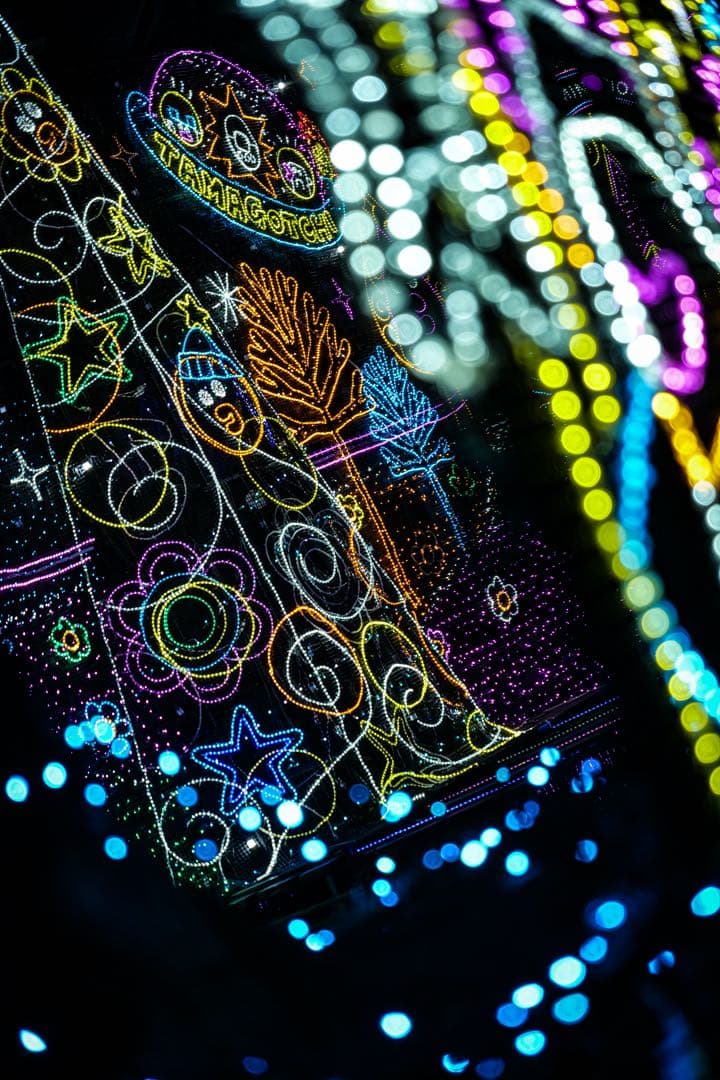 Panasonic LUMIX DC-S5 ＋ 24-105mm F4 おまけ付