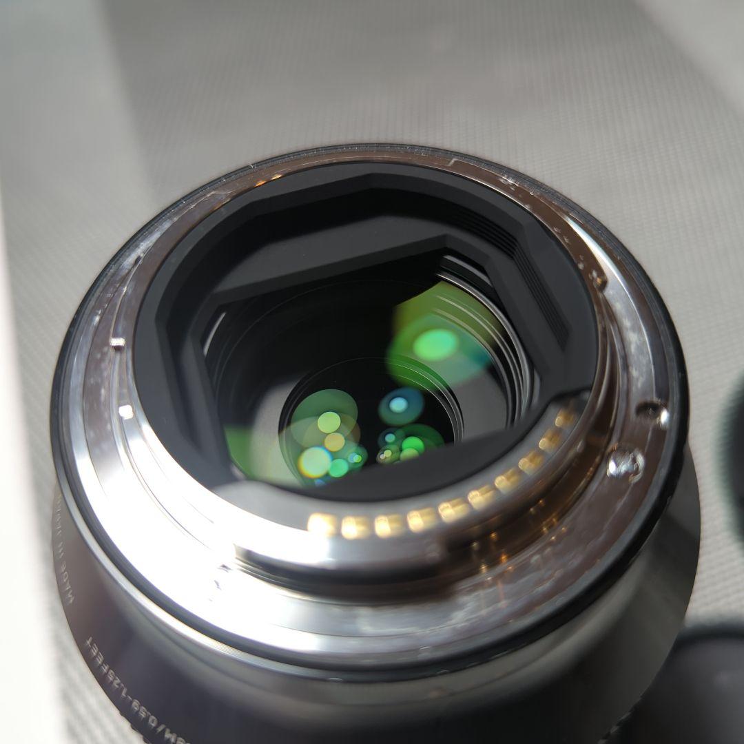 SIGMA 24-70mm F2.8 DG DN ズームレンズ