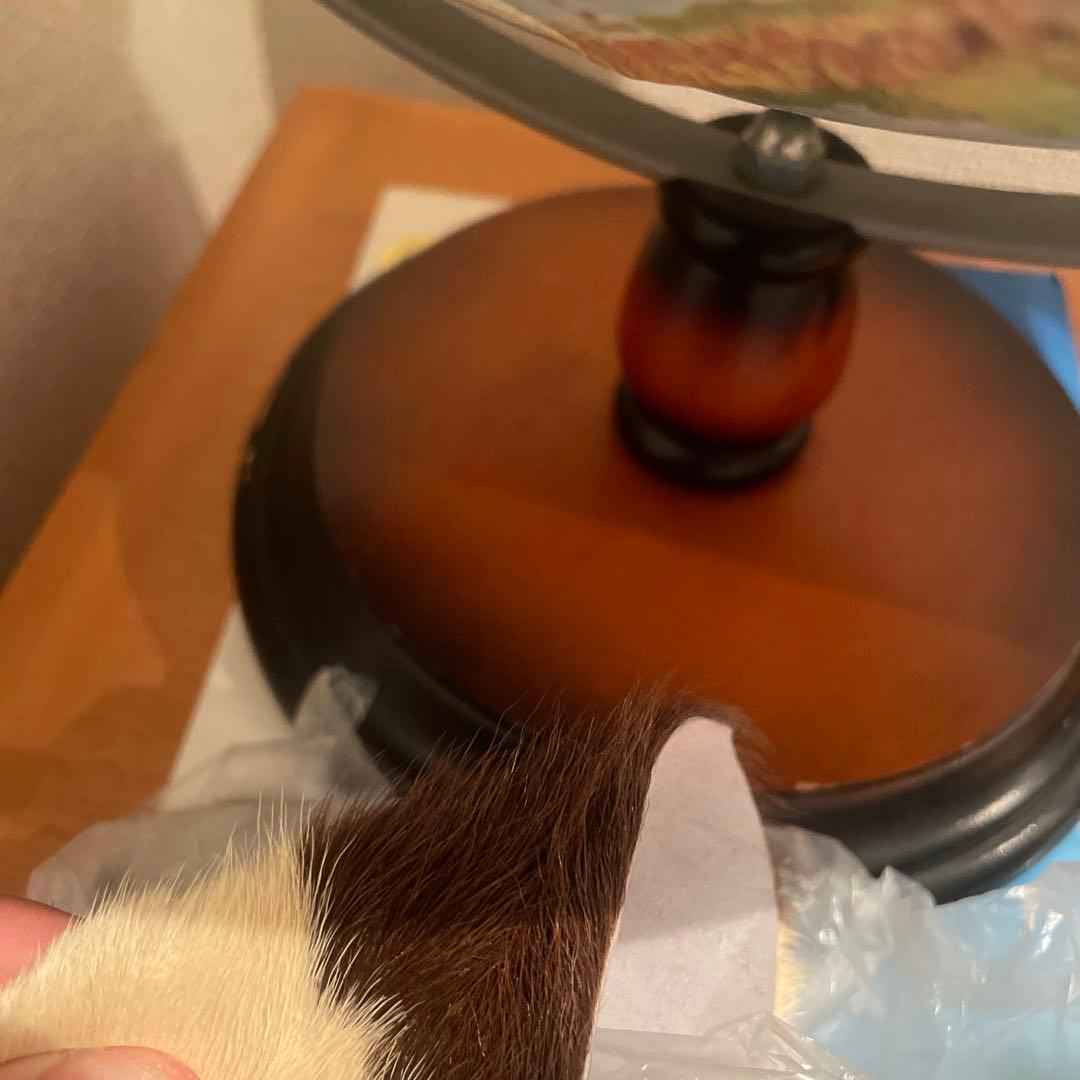 カウスキンラグ牛皮1枚革