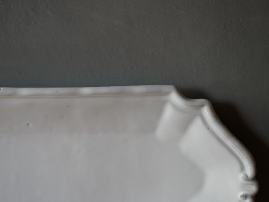 アスティエ　食器　ASTIER de VILLATTE フィッシュプラッター