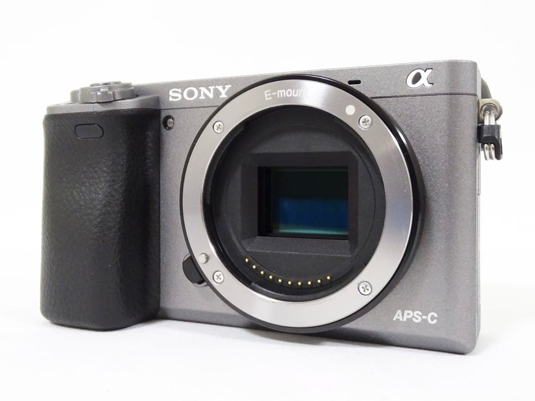 【希少・ショット232回】 SONY α6000 16-50 グラファイトグレー