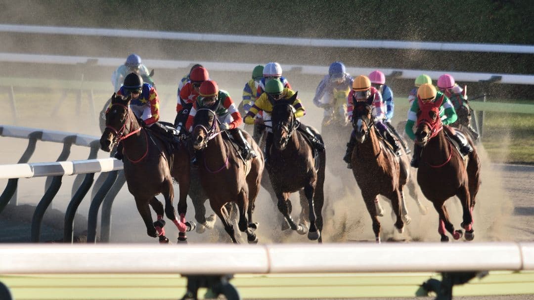 レンズ(ズーム) SIGMA 150-500mm F5-6.3 DG OS APO HSM