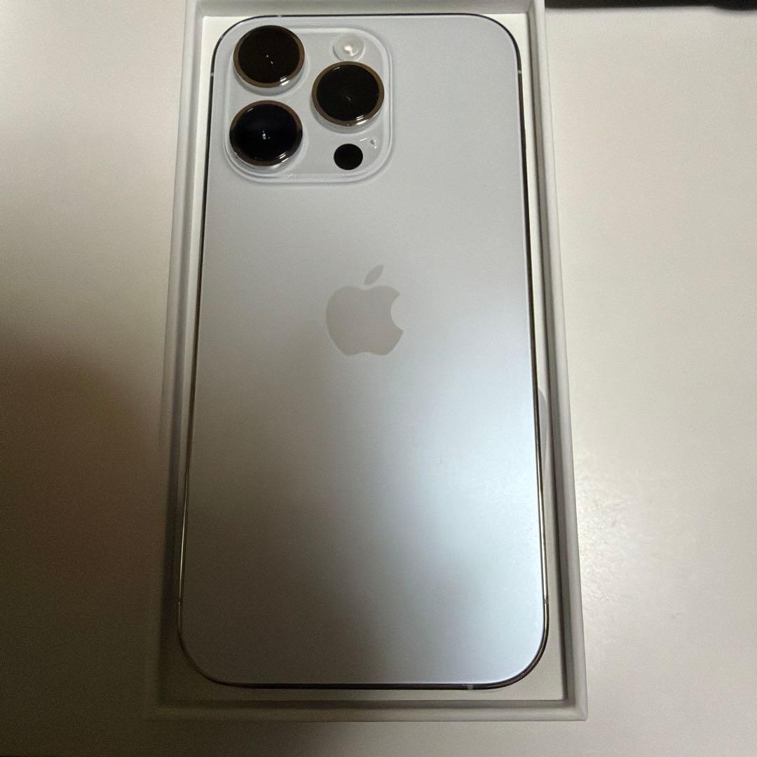 Apple iPhone 14 Pro シルバー 本体　256GB