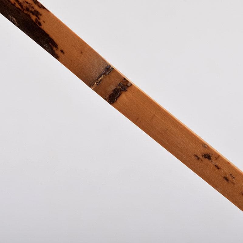 茶道具　影林宗篤作　茶杓　銘つくし　前大徳　佐藤朴堂書付　共筒共箱　C　8914