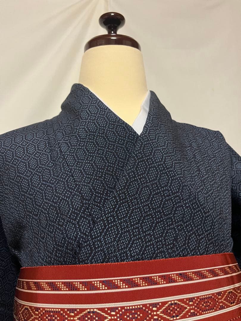 【超絶逸品】●新潟県伝統工芸品●【本塩沢】●強撚糸●草木染●亀甲●紬●着物