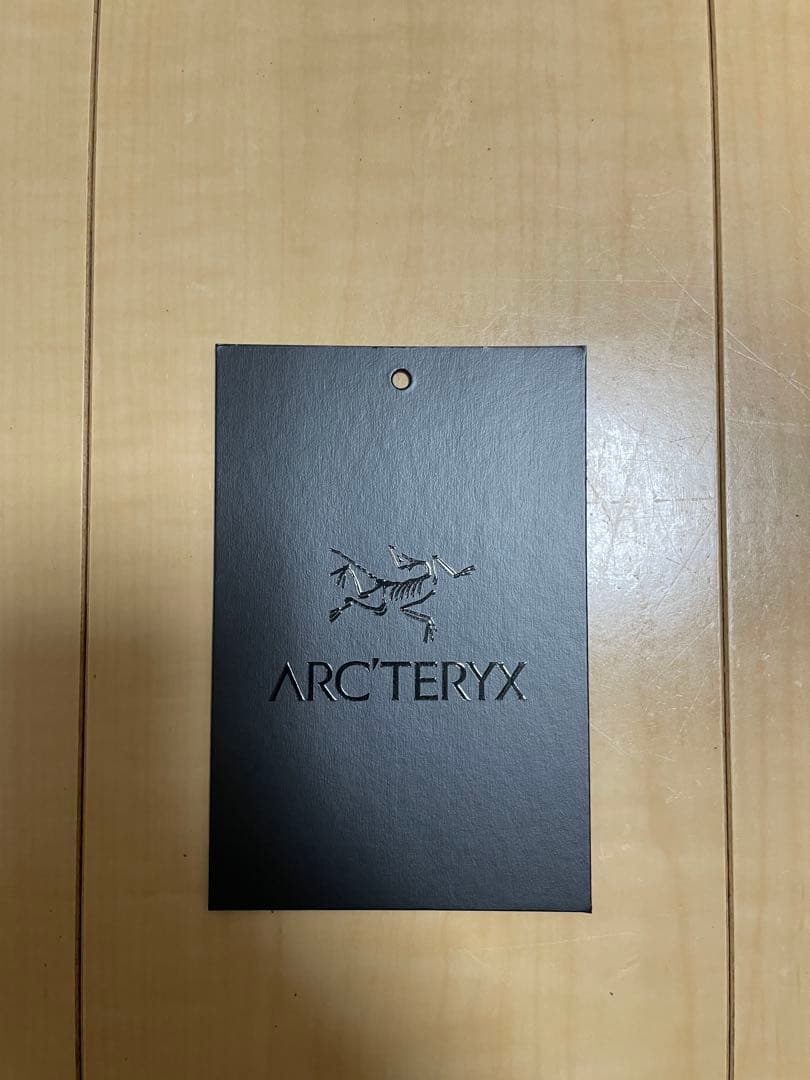 【美品・希少品】ARC’TERYX_Atom LT Hoody