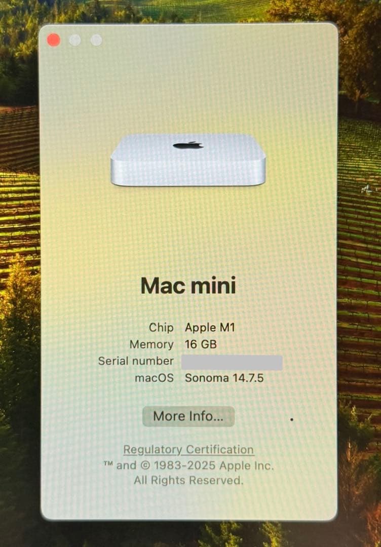 スマホ・タブレット・パソコン Mac mini 2020 M1 16GB 1TB