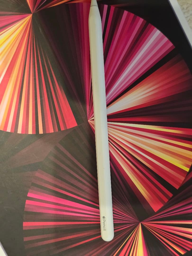 iPad本体 iPad Pro 11 M1 256GB ApplePencil2