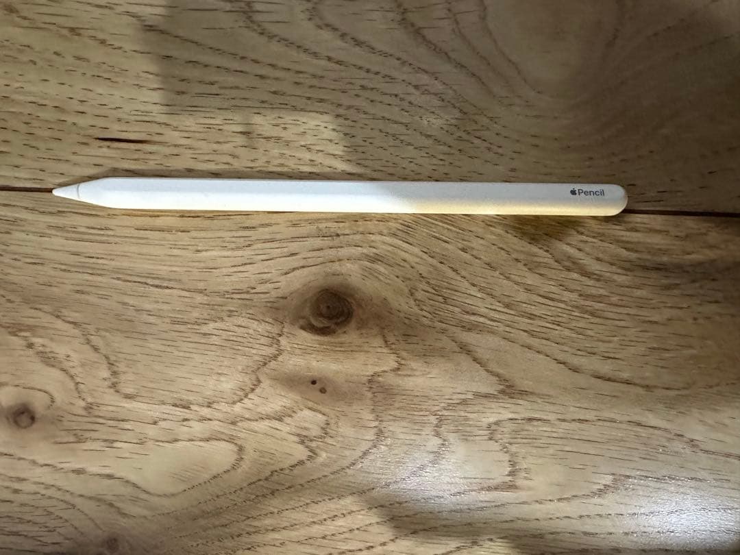 i Pad Pro 第1世代 11インチ+ Apple Pencil