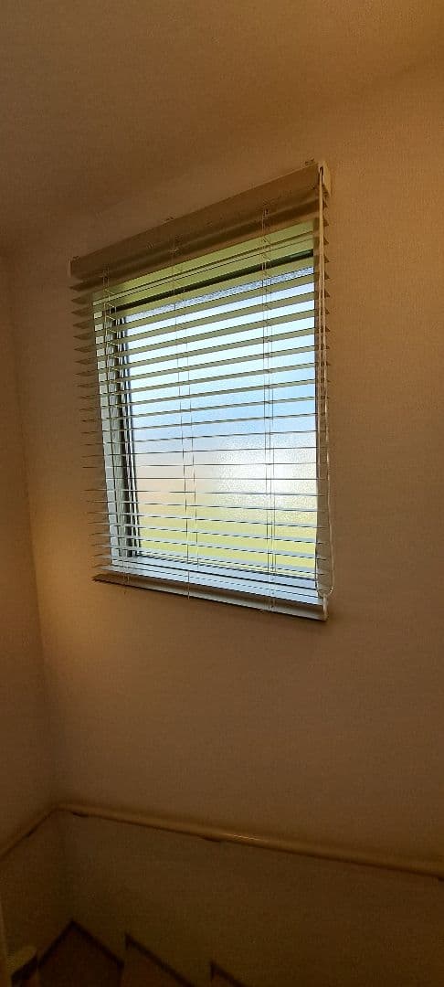 TOSO ブラインド TM-2403 950X1100