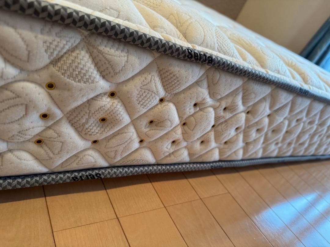 サータDペディック62F1Nミディアムハード