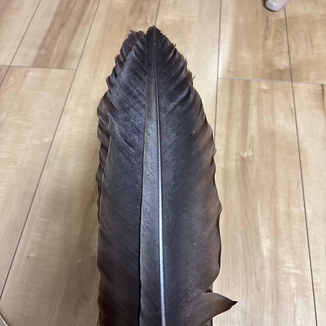 羽根御羽箒座箒（大) 茶道具茶道室58cm