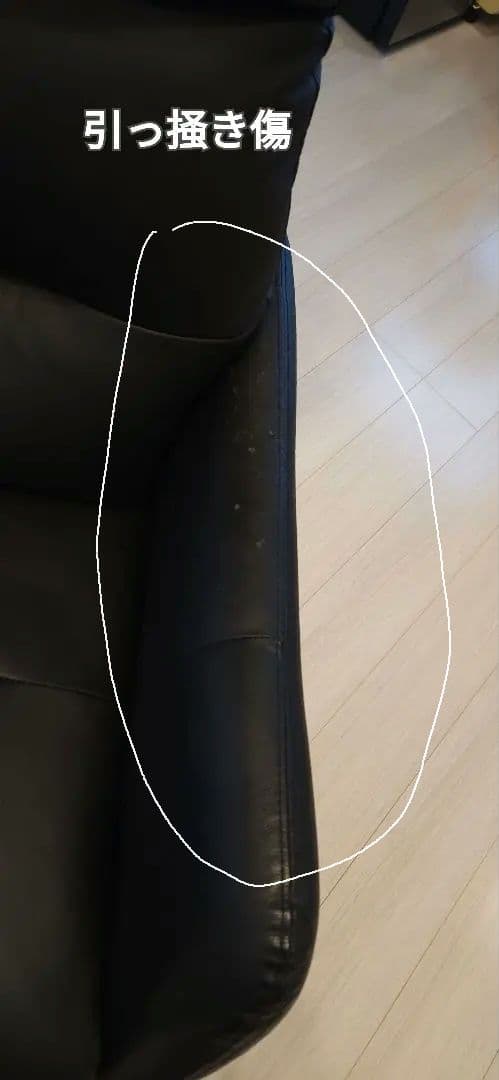 【専用】ニトリ 電動リクライニングパーソナルチェア2モーター LE01