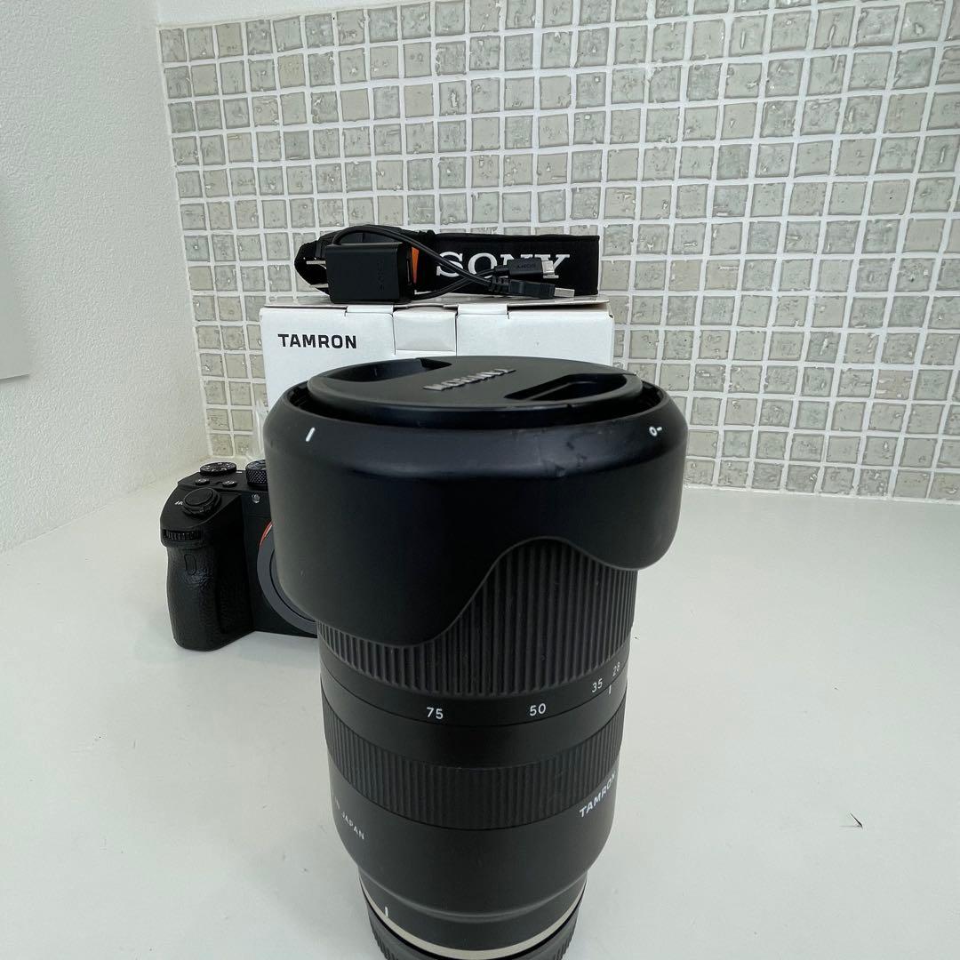 撮影枚数11877枚　SONY α7III + TAMRON 28-75mm